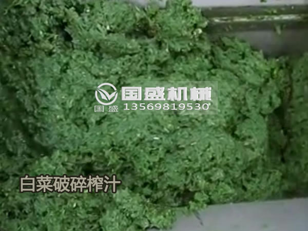 生姜芹菜榨汁脫水壓榨機